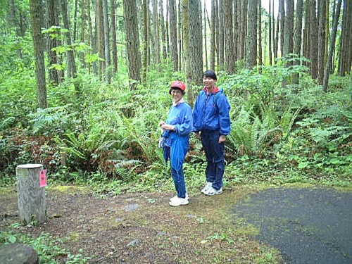 ohg009.jpg