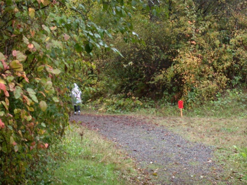 DSCN0516.jpg